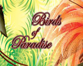 Birds-of-Paradise