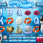 whale owinning