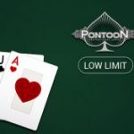 pontoon-professional-series-low-limit