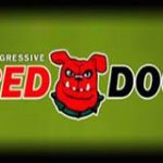 red-dog-progressive