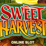  sweet-harvest