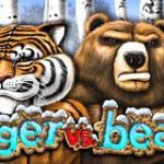  tiger-vs-bear