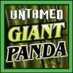 untamed-giant-panda