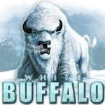  White-buffalo