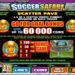 soccer safari