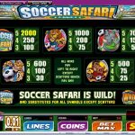 soccer safari