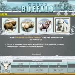 white buffalo