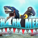 shark meet