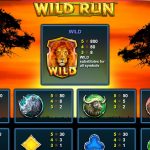 wild run